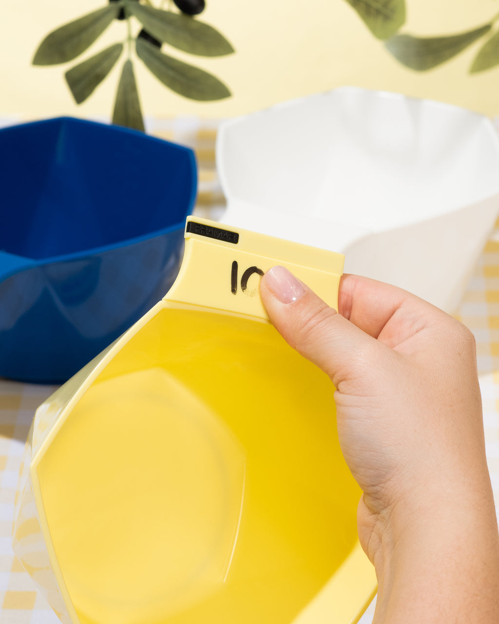 Limoncello - Write N' Wipe Color Bowls