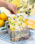 Limoncello - Pop Up