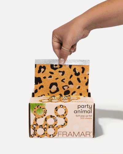 Party Animal - Pop Up*-hover